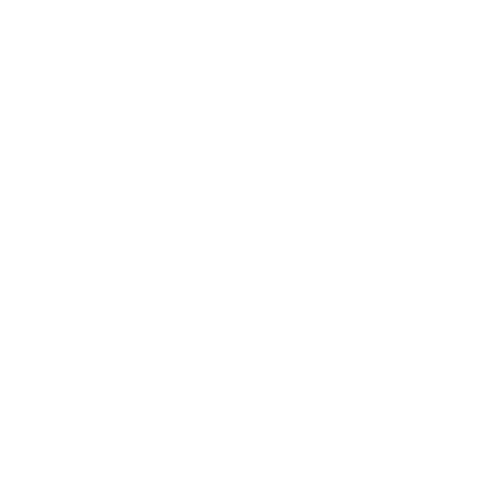 Ícone Assistência Funeral