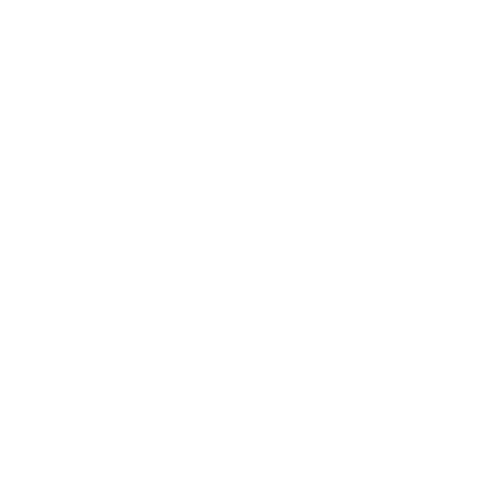 Ícone Seguro Acidentes